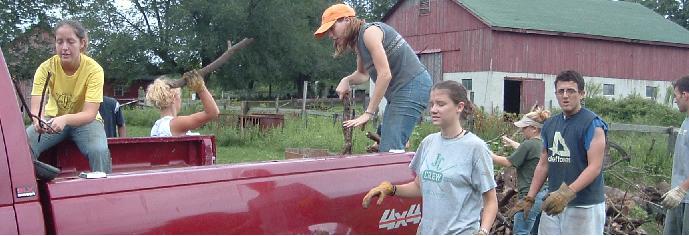 unloading more wood